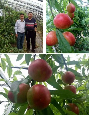 商洛農副產產品購銷