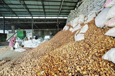 商洛一民營企業核桃殼產品暢銷多國