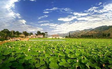 不輸袁家村!西安周邊這些絕美古村鎮(zhèn)!吃喝玩樂樣樣在行!