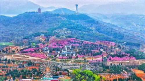 商洛商州 以生態(tài)為筆,繪就康養(yǎng)之都新圖景