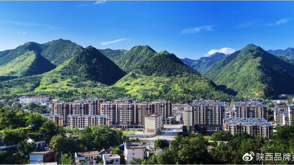 商洛市洛南縣自然資源局開展"秦嶺生態衛士"行動