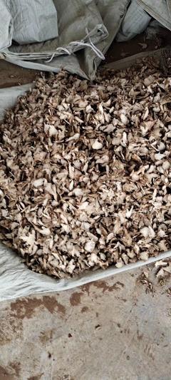 [連翹批發(fā)]陜西商洛山陽縣連翹 49.00元/斤連翹,秦嶺南,山 _ 一畝田