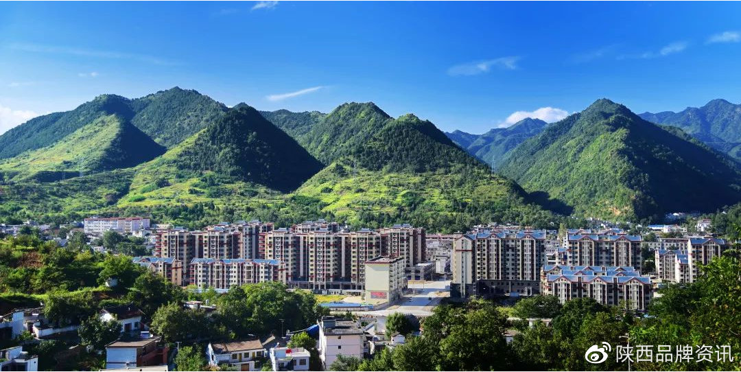 商洛市洛南縣自然資源局開展"秦嶺生態(tài)衛(wèi)士"行動