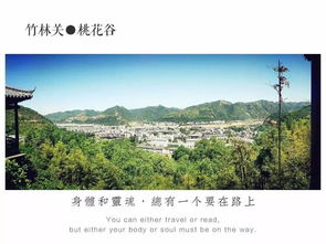 老司機眼中的商洛