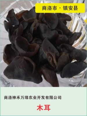 三秦“最靚”土特產(chǎn)展播(二十三)