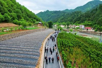 商洛市2023年第七次周末現場觀摩會在柞水召開