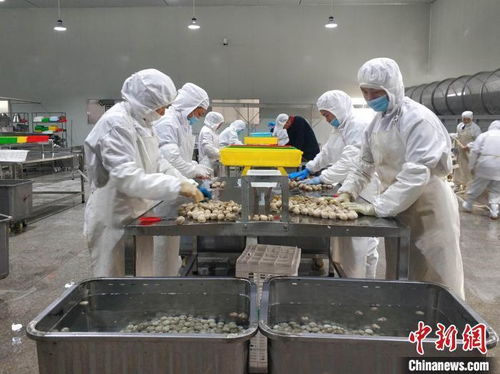 陜西商洛 秦嶺山貨 加速 出海 2022年出口總值增長63