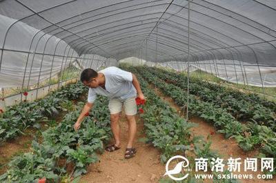 瓦房口鎮(zhèn)的精彩 “蝶變”