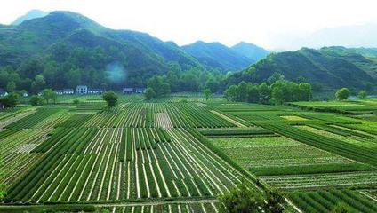 商洛市堅(jiān)持“三化”路徑加快追趕超越的實(shí)踐與探索