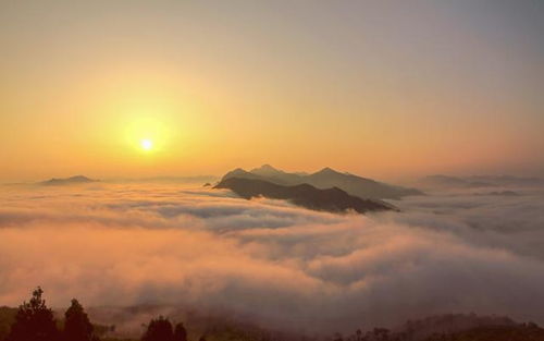 聚焦 綠巨人 開進(jìn)商洛,列車即將啟程,請上車