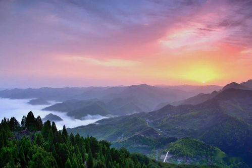 陜西唯一 商洛獲評2021年國家級全域森林康養試點建設市