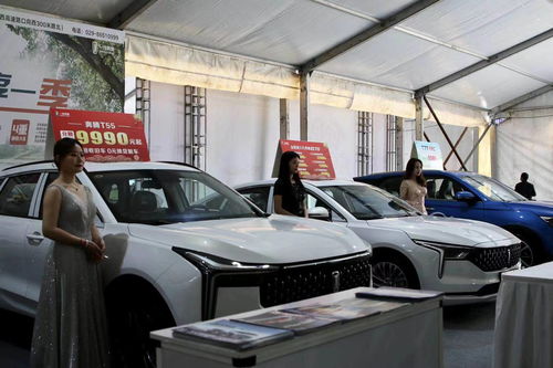 2021商洛春季汽車暨名優產品展銷活動開幕