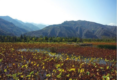 家門口的傳奇-與商山四皓為鄰