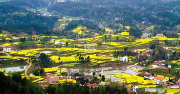 外地人眼中的商洛 vs 真實的商洛 不只是秦嶺深處的秘境