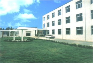 一呼百應公司頻道 商洛市場的數字化橋梁